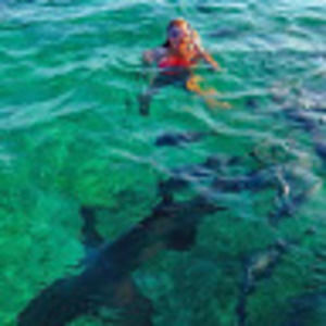 Meet your Posher, Julia